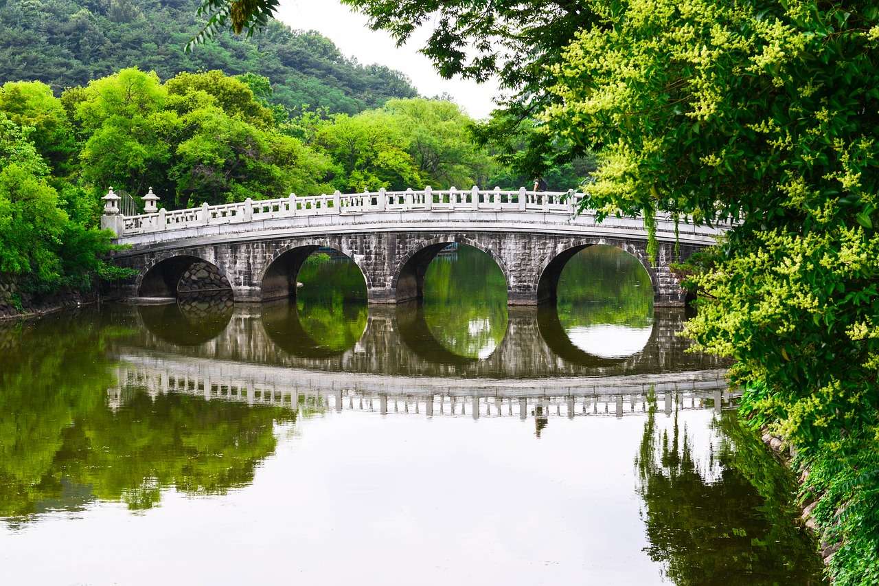 대구화물용달
