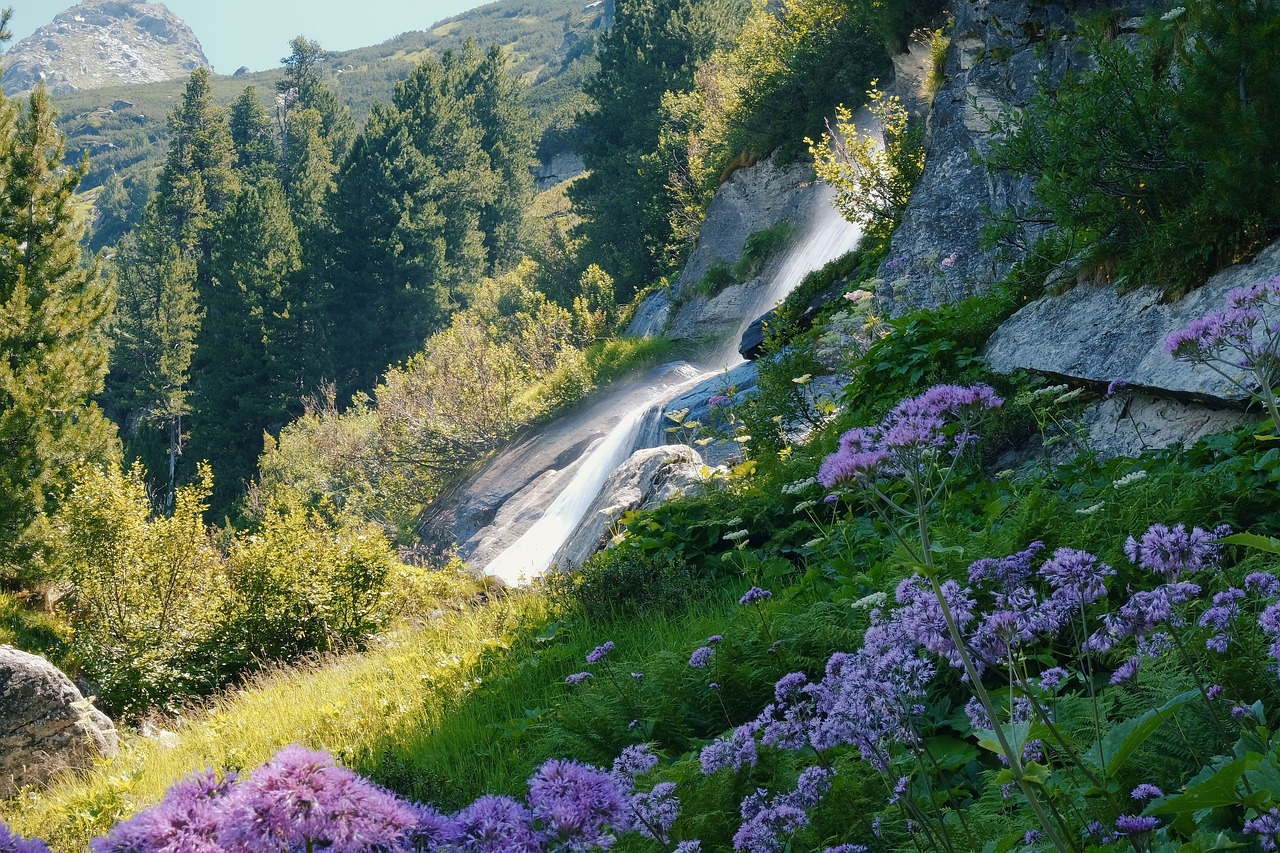 송이 산 임야 매매